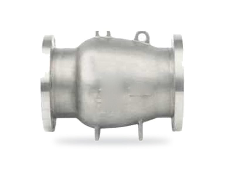 Axial flow (nozzle) check valve