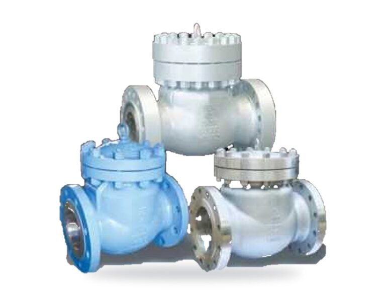 Cast steel swing check valves